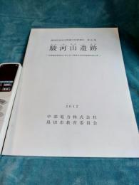静岡県島田市埋蔵文化財報告　第45集　　駿河山遺跡