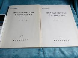 藤枝市原古墳群越ケ谷支群B地区発掘調査報告書(本文編・図版編)