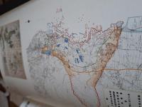 ドキュメント災害史　1703-2003/地震・噴火・津波、そして復興