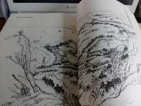 駿河記　　絵図集成
