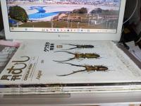 月刊　むし(クワガタ特集号17号～21号まで)5冊で