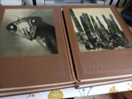 科学画報叢書　全12巻