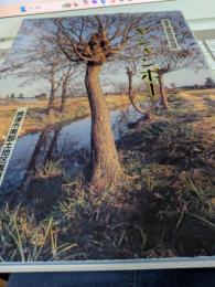 焼津市南部地区民俗誌　　ヤシャンボー