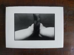 細江英公展覧会のための写真集「抱擁」と「薔薇刑」