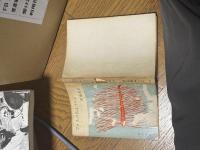 ゴメスの名はゴメス