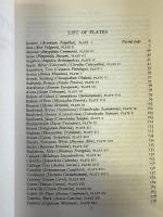 【英語洋書】A MODERN HERBEL