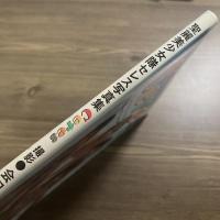 Ceres : 聖麗美少女隊セレス写真集