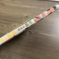 紗綾11歳 : 紗綾写真集