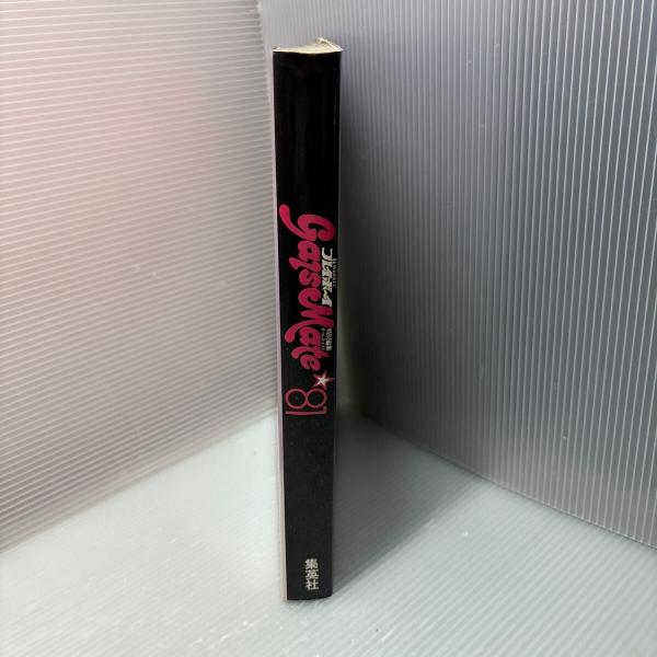 週刊プレイボーイ特別編集 ギャルズメイト '81 / 古本、中古本、古書籍