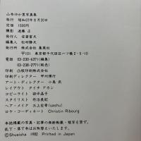 山本ゆか里 写真集 週刊プレイボーイ特別編集 初版