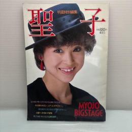 松田聖子 明星特別編集 聖子 写真集 集英社　