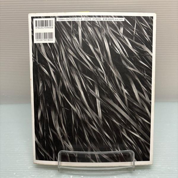 竹内まりや インプレッションズ フォトエッセイ / 古本、中古本