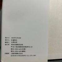 沢田奈緒美　写真集　初版　PS元気です