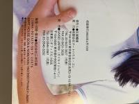パームツリー　Ｖｏｌ．２　池内彩写真集
