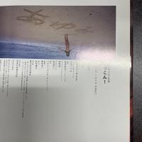 ぞっこん! : 塩沢亜弓写真集