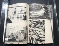 古書 観光案内「国立公園伊勢志摩」昭和25年 近畿交通社/発行 23P 古写真 折込地図 冊子
