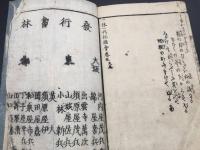 和本「一休禅師一代記図会」五編1冊 安政3年/序 37丁 歌川芳晴/画 樓花亭江島/著 伝記 絵入 和歌 狂歌