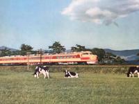 日本国有鉄道 カレンダー 1961年(昭和36年) 表/ディーゼル特急はつかり 未使用 13枚 ５１×３６

