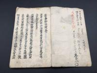 写本「瘡毒論病問巻」肉筆 梅毒 幕末～明治 医学 感染症 漢方 東洋医学 38丁