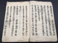 写本「瘡毒論病問巻」肉筆 梅毒 幕末～明治 医学 感染症 漢方 東洋医学 38丁