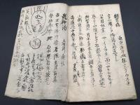 写本「瘡毒論病問巻」肉筆 梅毒 幕末～明治 医学 感染症 漢方 東洋医学 38丁