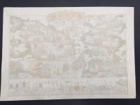 色彩版画「日光山真図/日光東照宮祭典行列略図」明治期 引札/道中記/鳥瞰図