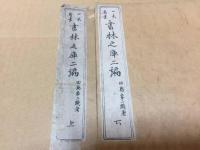 和本「一大奇書 書林之庫」上下２冊揃 明治10年 田島象二/著 玉養堂