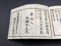 医学 和本『改正増補 医道日用綱目』明治6年 絵有