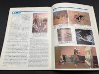 パンフレット 目録「アイヌ民族博物館」34P 古写真