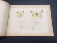 古書「尋常小学 新定画帖」明治43年 第五学年男生用 24図 文部省 教科書 絵画 美術 図工 手習い デザイン