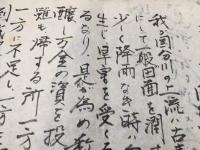 古文書 水路紛争関係 激文 国分川 肉筆 用水路 水争い 田畑 歴史 資料