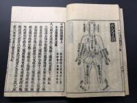 和本「新刊大字 十四経発揮 全」上中下合本 宝暦12年 滑寿伯仁/著 浪華書林 東洋医学 鍼灸 経絡 奇経八脈 絵入
