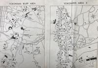 古地図「SUBURBAN AREAS AND TOKYO 東京及び近郊地域」英字 両面 米国極東陸軍地図局/発行 基地近郊 大型 資料