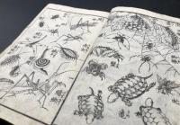 和本「紋切形」弘化五年刊(1848) 渓斎英泉/画 頂恩堂 文様 和柄 図案 デザイン 手本

