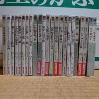 鉄道関連カラーブックス計23冊まとめ