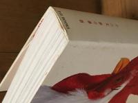 Niwatori　ニワトリ　十二支第十番酉