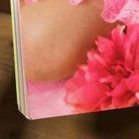 月刊熱帯魚　ボクタチオンナノコ　蜷川 実花