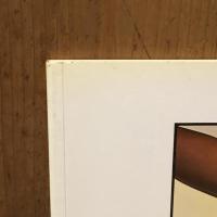 Rude Health: David Thorpe　デヴィッド・ソープ写真集