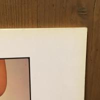 Rude Health: David Thorpe　デヴィッド・ソープ写真集