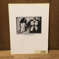 Rude Health: David Thorpe　デヴィッド・ソープ写真集