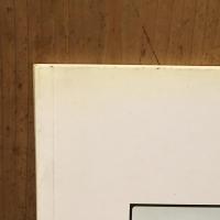 Rude Food David Thorpe　デヴィッド・ソープ写真集