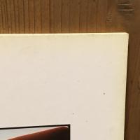 Rude Food David Thorpe　デヴィッド・ソープ写真集