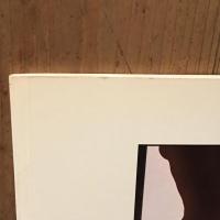 Vin Rude: David Thorpe　デヴィッド・ソープ写真集