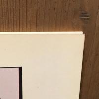 Vin Rude: David Thorpe　デヴィッド・ソープ写真集