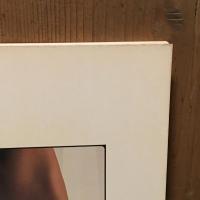 Rude Cocktails: David Thorpe　デヴィッド・ソープ写真集