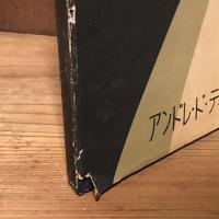 裸婦　アンドレ・ド・ディーンズ作品集