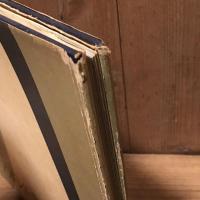 裸婦　アンドレ・ド・ディーンズ作品集