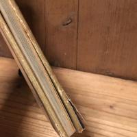 裸婦　アンドレ・ド・ディーンズ作品集