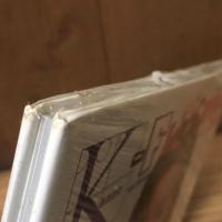 菅野美穂　Kanno - Files　写真集