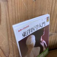 カラーブックス632　東洋医学入門